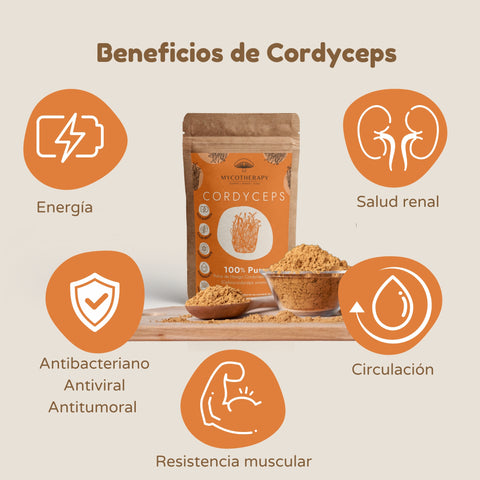 Polvo Cordyceps 100% Puro