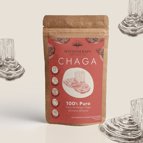 Polvo Chaga 100% Puro