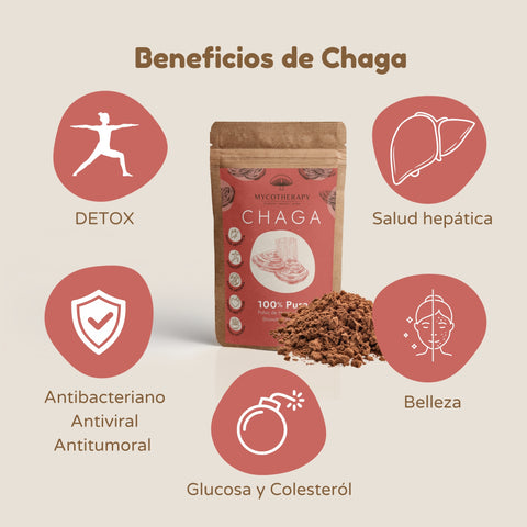 Polvo Chaga 100% Puro